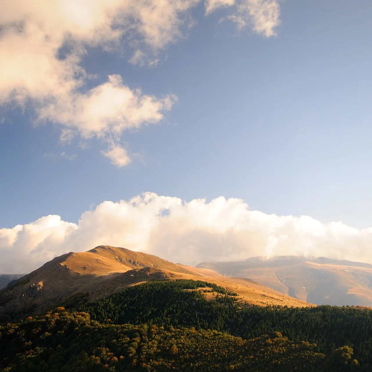 Udruženja traže da se utvrdi uzrok požara na području Parka prirode Stara planina