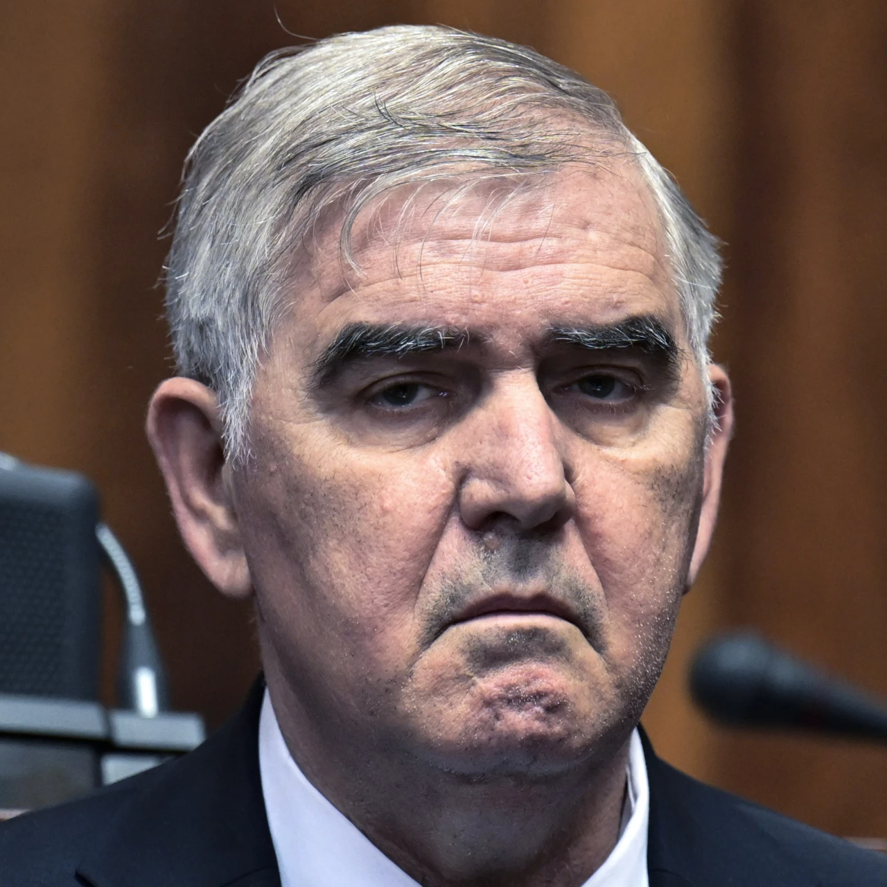 Beriša: Pripreme za izbore Saveta nacionalnih manjina u završnoj fazi, rok za raspisivanje 3. novembar
