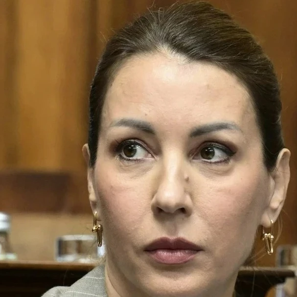 Đedović Handanović: Sve strane gube strpljenje u pregovorima o NIS-u, Srbija uradila sve što je do nje