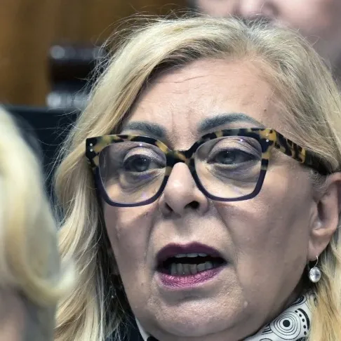 Ministarka: Nekoliko brodova se nasukalo zbog niskog vodostaja Dunava