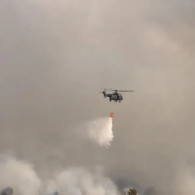 Ministar unutrašnjih poslova: Više od 30 vatrogasaca i nekoliko helikoptera gase požar u Deliblatskoj peščari