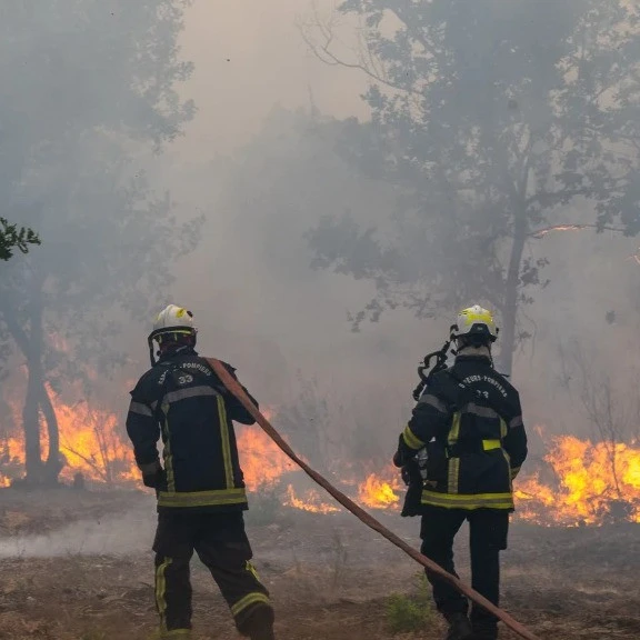 Nunjez: Šumski požar u Žirondi prestao da se širi, ali plamen još nije zaustavljen
