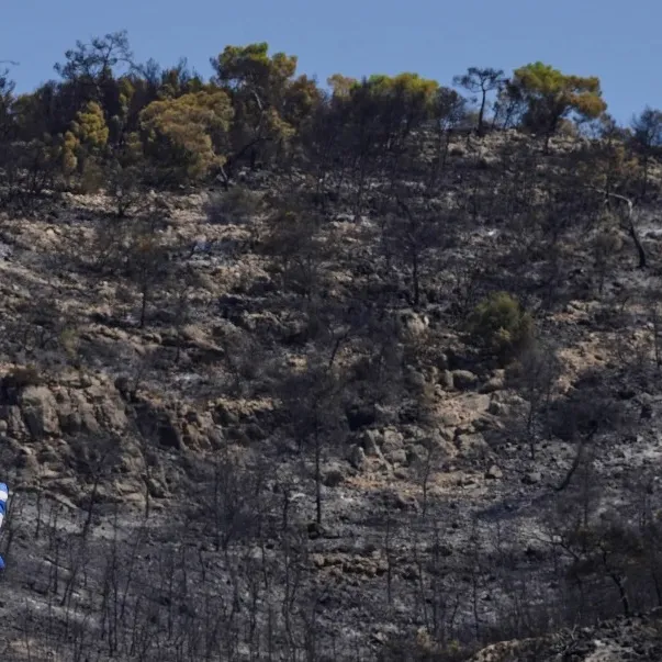 Požari u Grčkoj: Situacija u Peli poboljšana, požar u Salamini i dalje besni
