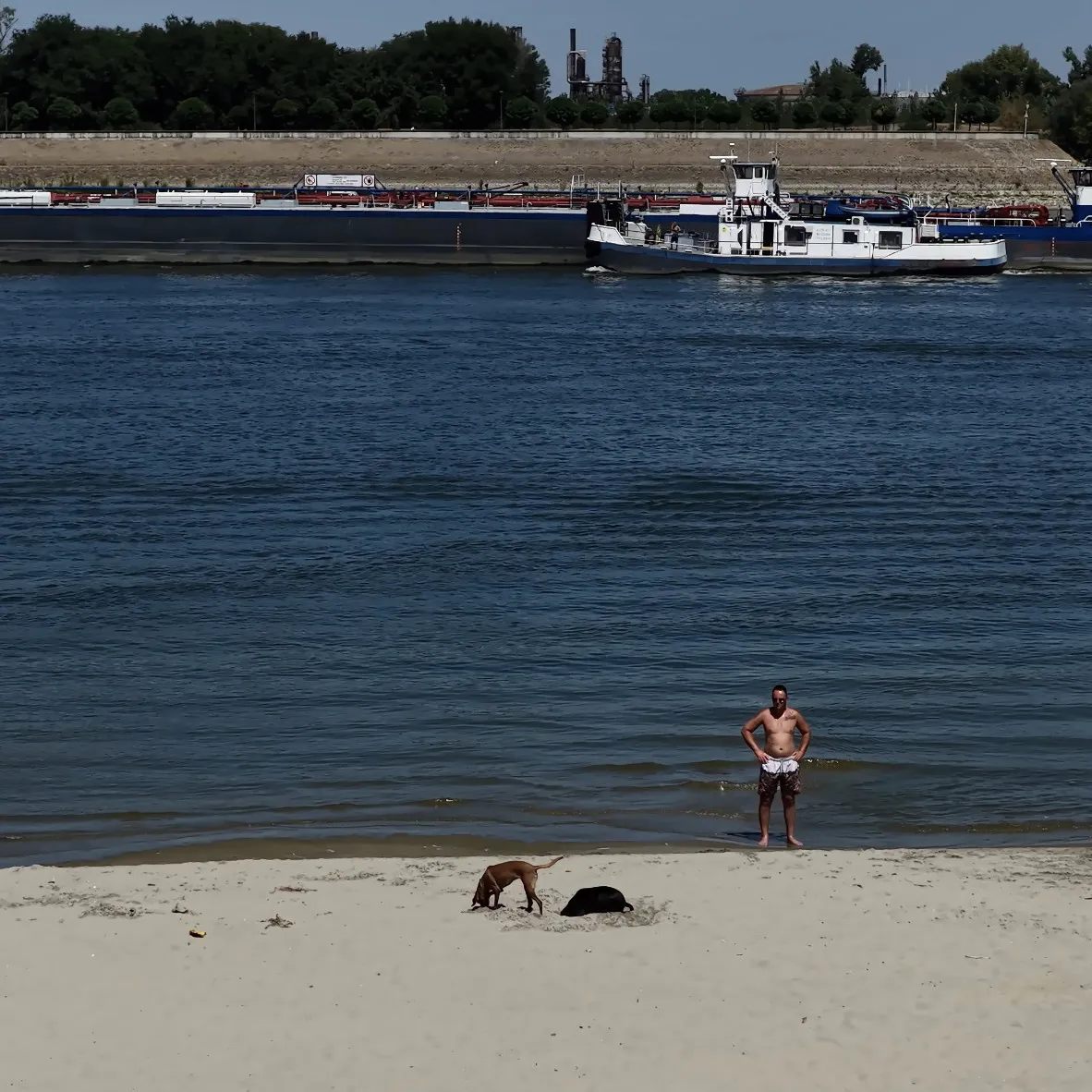 Ekološki ustanak: Vlada bi trebalo da bude u stalnom zasedanju zbog situacije sa vodostajem