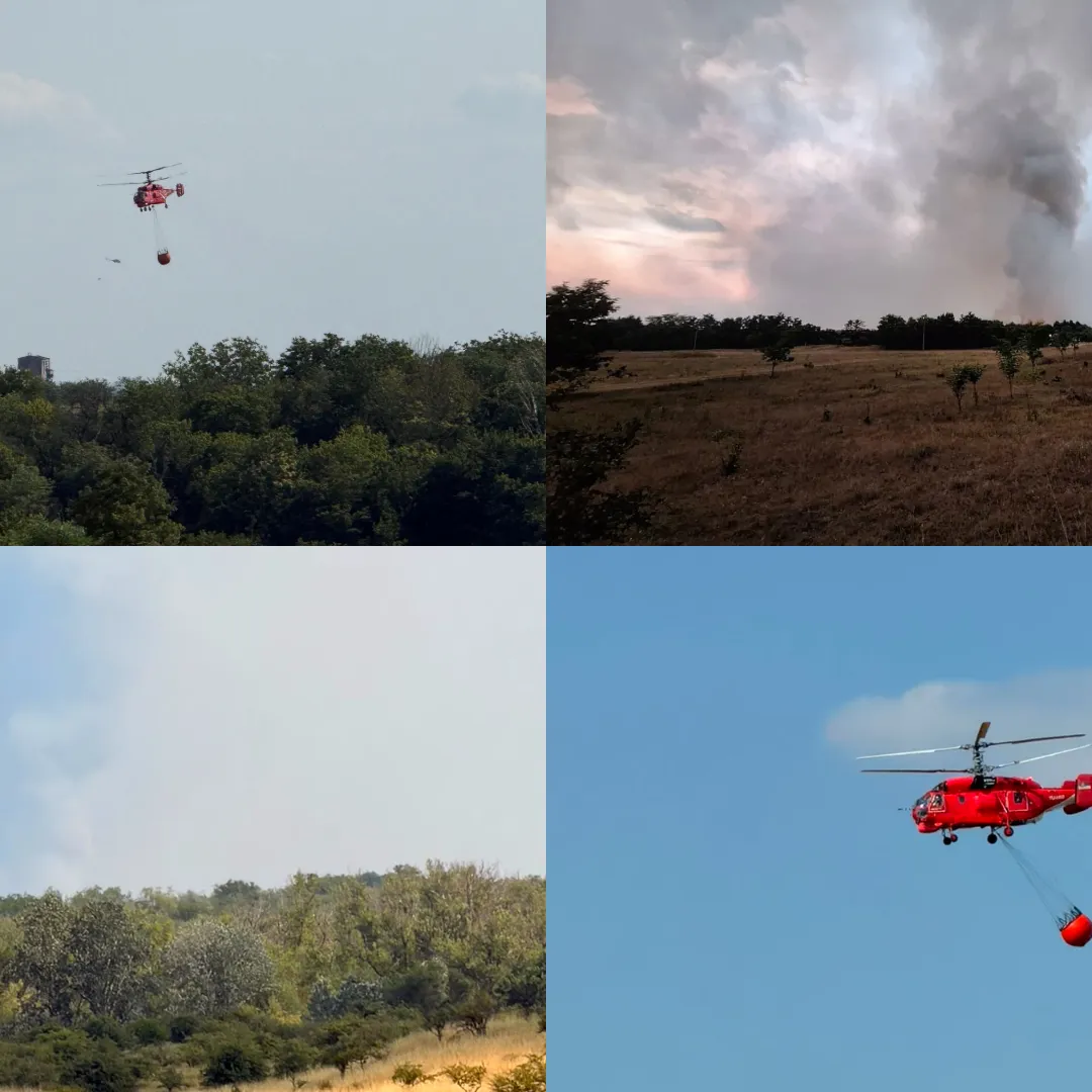 Kako danas izgleda borba s požarom u Deliblatskoj peščari: Opet angažovani helikopteri, zabrinutost zbog vetra (VIDEO, FOTO)