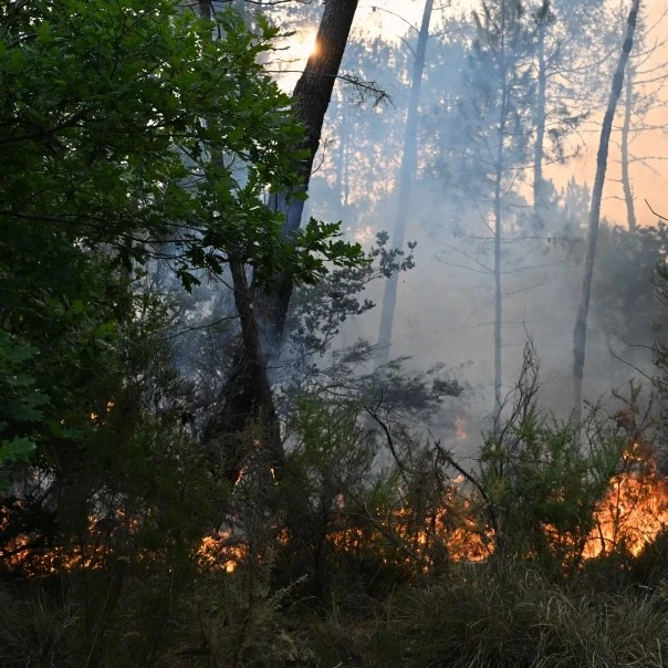 Šumski požar širi se ka Bordou, tokom noći domove napustilo više od 55.000 ljudi