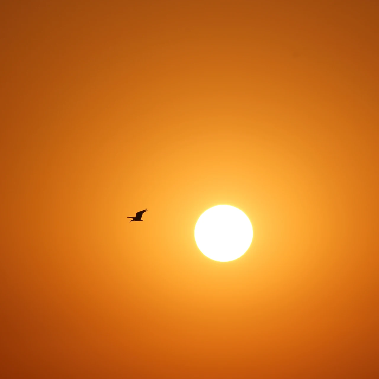 U Nemačkoj danas izmerena rekordna temperatura od 41,3 stepena Celzijusa