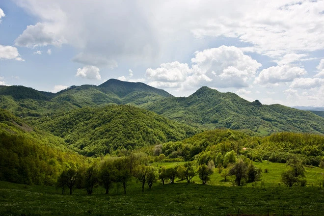 Ministarstvo rudarstva: Na Rogozni nema planova za otvaranje rudnika, odobrena samo geološka istraživanja
